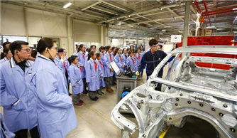 義烏泓寶行 技術開發的創新驅動與行業貢獻